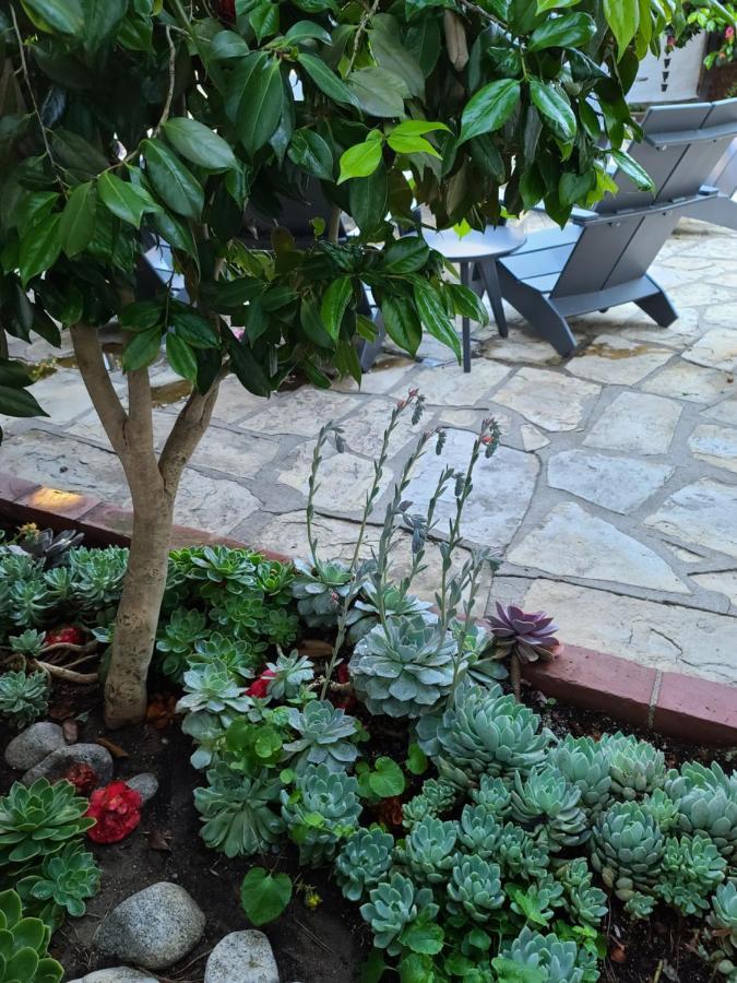 The Vagabond'S House Boutique Inn Carmel-by-the-Sea ภายนอก รูปภาพ